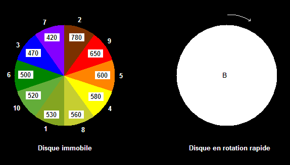 La Chouette D’Or – Enigme B – Famille Coadic